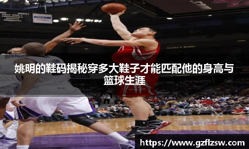 姚明的鞋码揭秘穿多大鞋子才能匹配他的身高与篮球生涯
