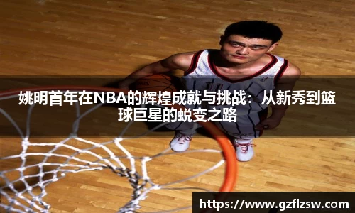 姚明首年在NBA的辉煌成就与挑战：从新秀到篮球巨星的蜕变之路